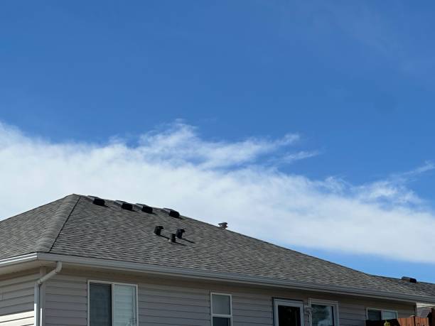 Roof Coating Services in Coburg, OR